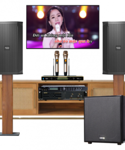 DÀN KARAOKE CAO CẤP VM-CC004 (Loa Martin V.10, Cục đẩy Crown T7…)