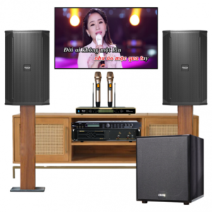 DÀN KARAOKE CAO CẤP VM-CC004 (Loa Martin V.10, Cục đẩy Crown T7…)