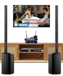 Dàn karaoke gia đình VM-GD205