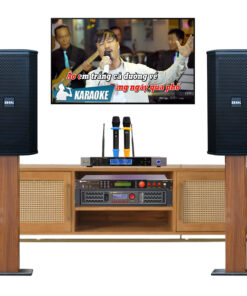 Dàn karaoke gia đình VM-GD207: SA-999 piano, P-1000, 1000 New, SM-1000 Smart