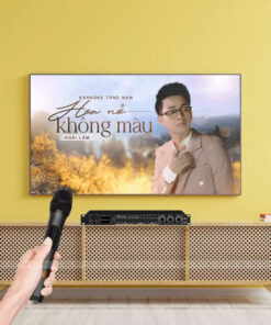 Dàn Karaoke LHH210