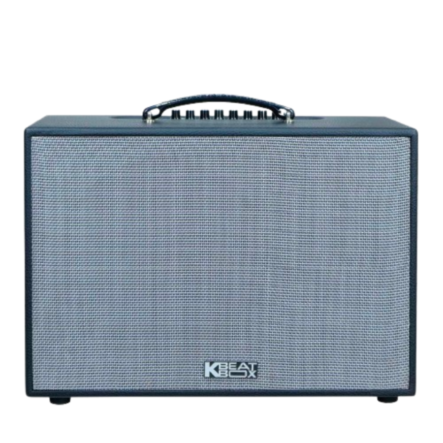Loa Karaoke di động Acnos CS251PU: