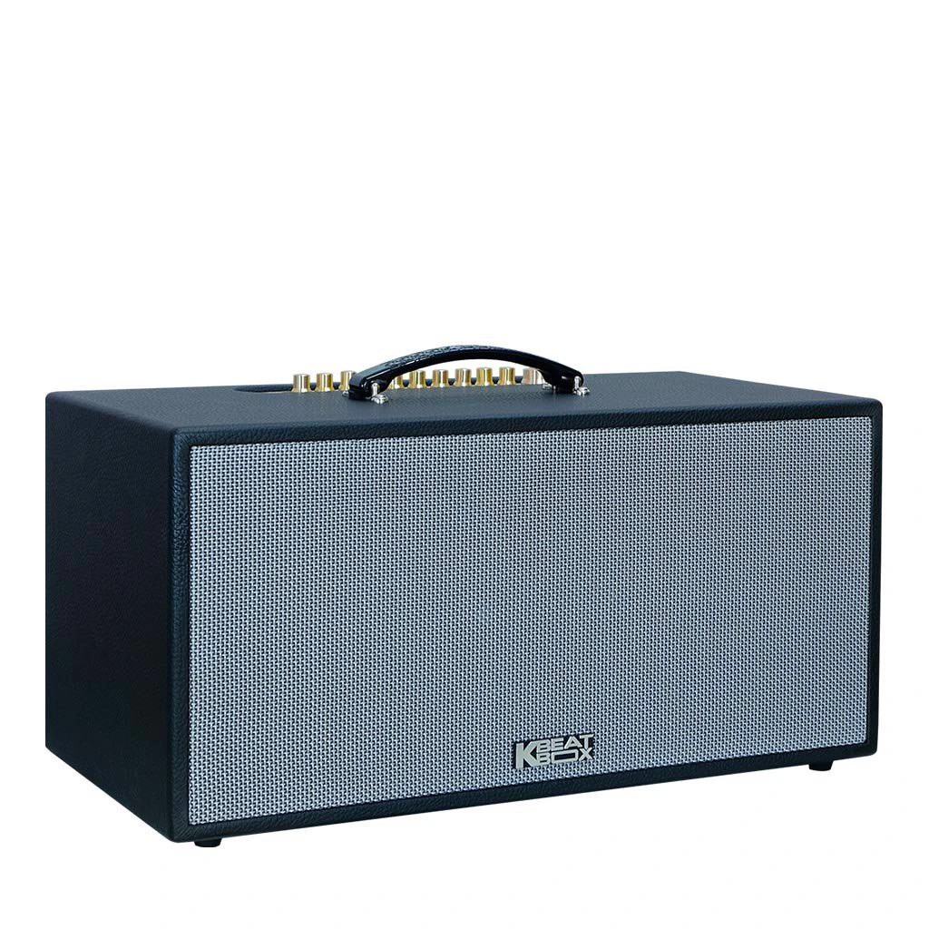 Loa Karaoke di động Acnos CS451