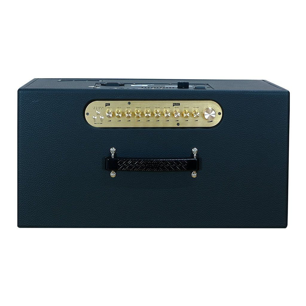 Loa Karaoke di động Acnos CS451