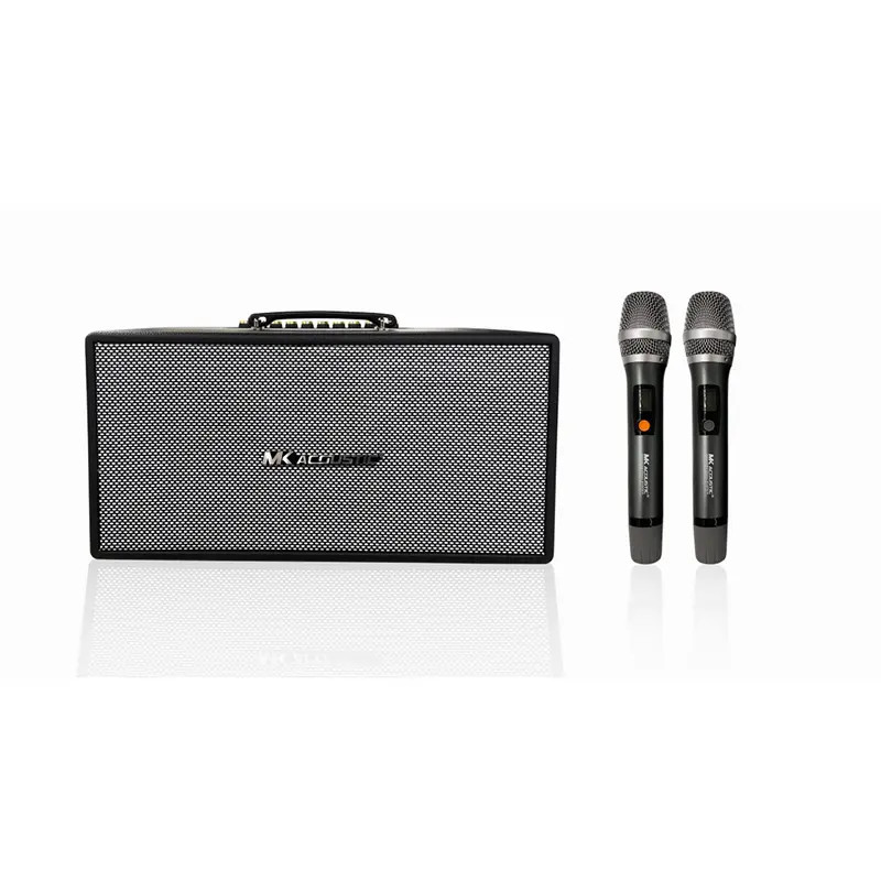 Loa di động MK 216D