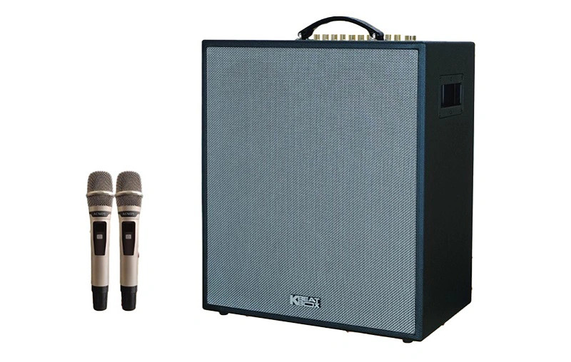 Loa karaoke di động Acnos CS550SR