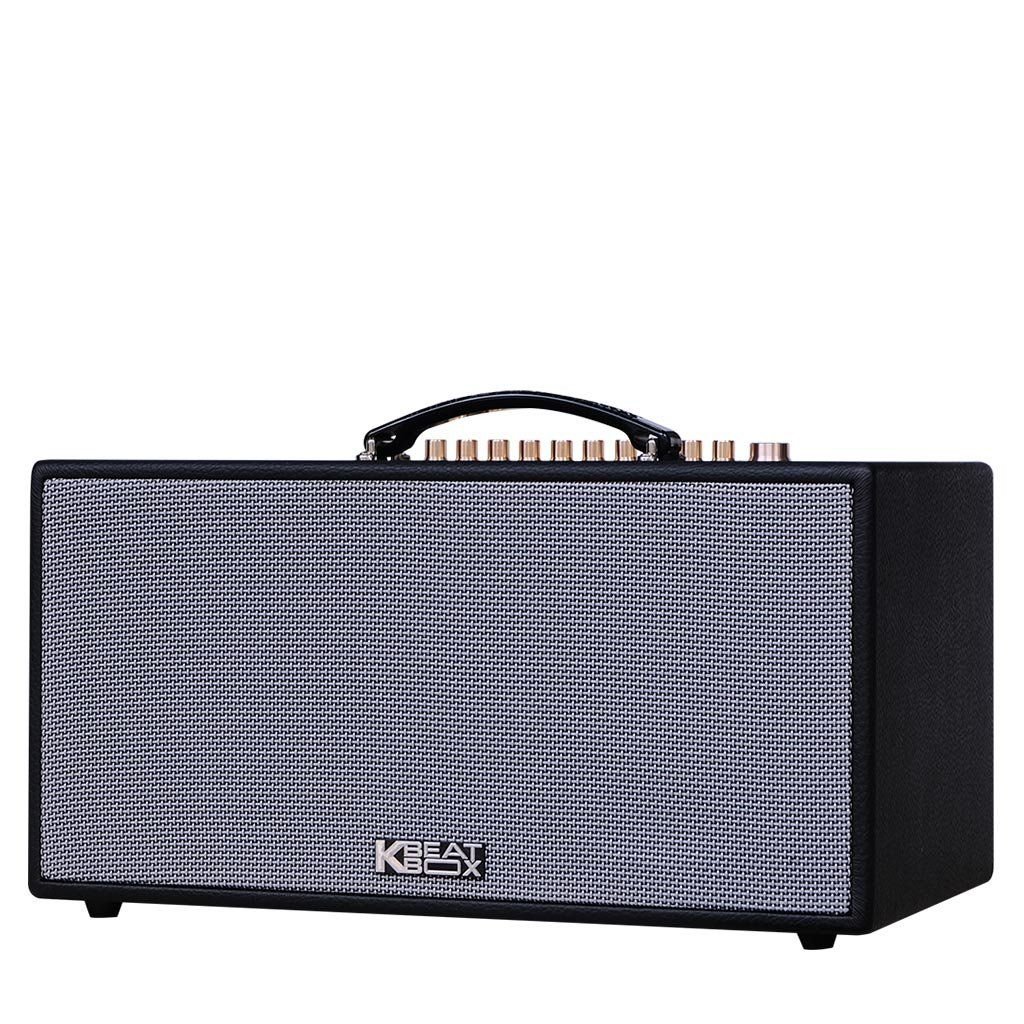 Loa karaoke di động Acnos CS688R