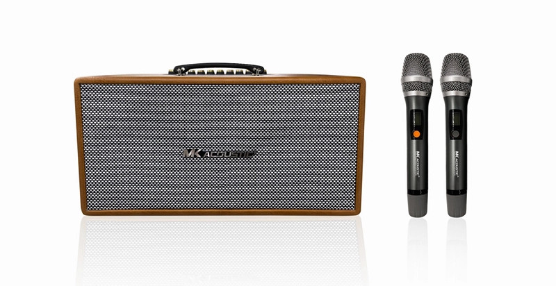 Loa karaoke di động MK 216N