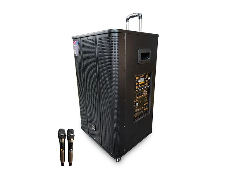 Loa karaoke di động MK LK-815