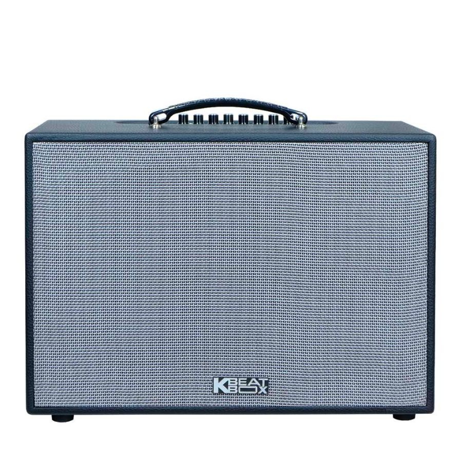 Loa Karaoke di động Acnos CS251