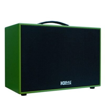 Loa Karaoke di động Acnos CS250SON