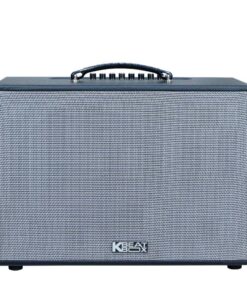 Loa Karaoke di động Acnos CS251PU
