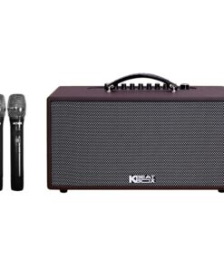 Loa Karaoke di động Acnos CS391