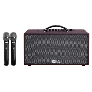Loa Karaoke di động Acnos CS391