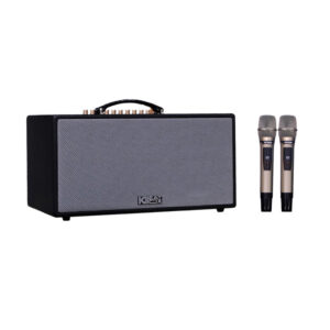 Loa Karaoke di động Acnos CS450neo