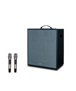 Loa Karaoke di động Acnos CS551