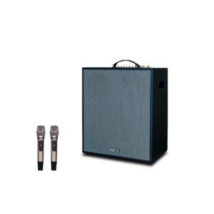 Loa Karaoke di động Acnos CS551