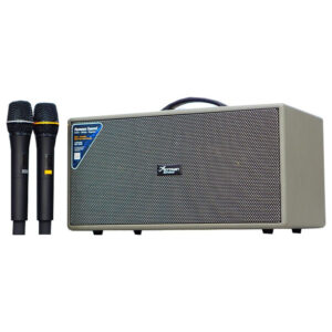 Loa Karaoke di động Acrowin SA500