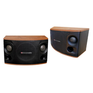 Loa Karaoke Boston Acoustics Modern MD510