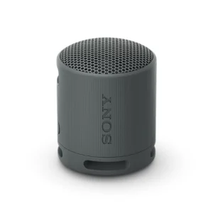 Loa Bluetooth di động Sony SRS-XB100