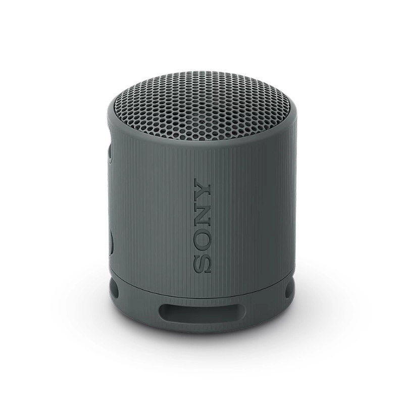 Loa Bluetooth di động Sony SRS-XB100