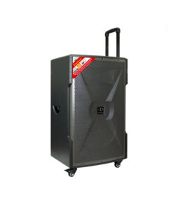 Loa Karaoke di động Dalton TS-15G700X