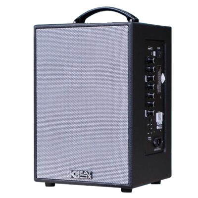 Loa Karaoke di động Acnos CS141