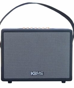 Loa Karaoke di động Acnos CS270