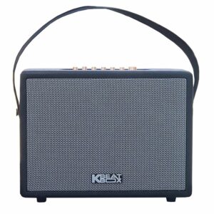 Loa Karaoke di động Acnos CS270