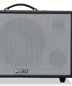 Loa Karaoke di động Acnos CS3600