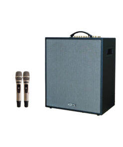 Loa karaoke di động Acnos CS550SR
