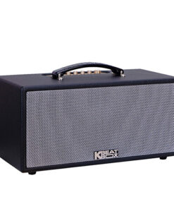 Loa Karaoke di động Acnos KS363V