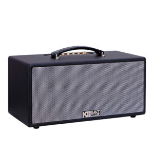 Loa Karaoke di động Acnos KS363V