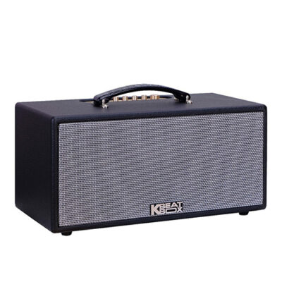 Loa Karaoke di động Acnos KS363V