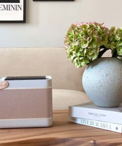 Loa Bang & Olufsen Beolit 20