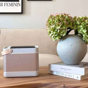 Loa Bang & Olufsen Beolit 20