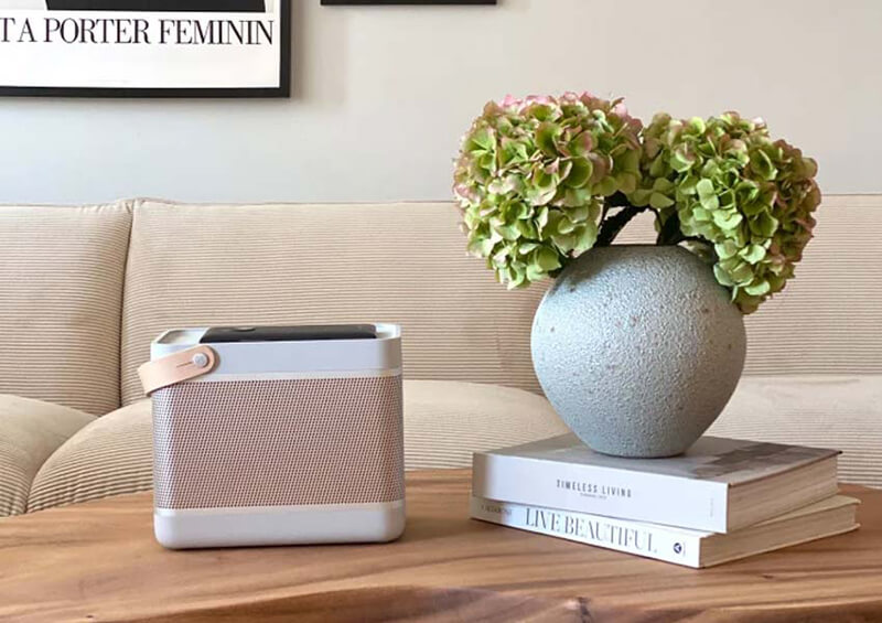 Loa Bang & Olufsen Beolit 20