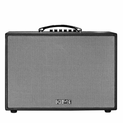 Loa Karaoke di động ACNOS CS200PU