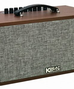 Loa Karaoke di động Acnos CS390