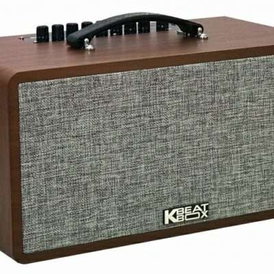 Loa Karaoke di động Acnos CS390