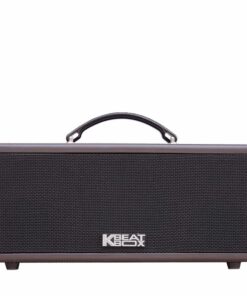 Loa Karaoke di động Acnos KS362S