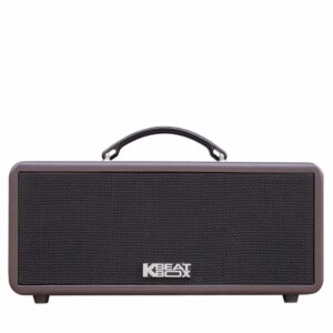 Loa Karaoke di động Acnos KS362S