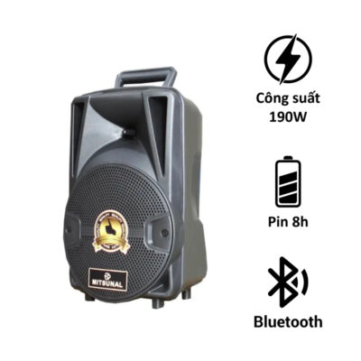Loa Karaoke di động Mitsunal T801