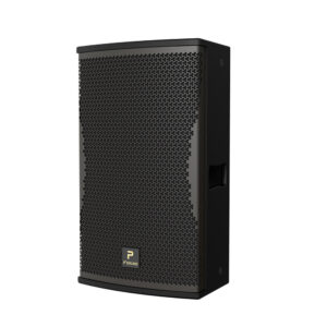 Loa Karaoke P'SOUND S-3030