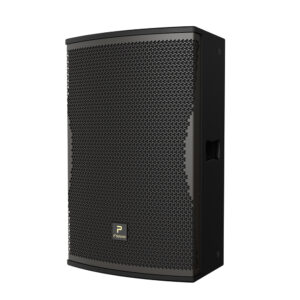Loa Karaoke P'SOUND S-3040