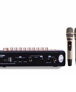 Micro tích hợp vang số Acnos Mi30