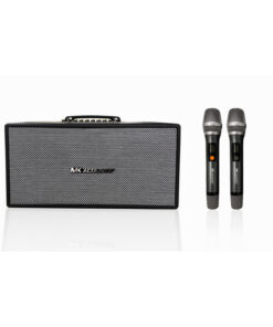 Loa di động MK 216D