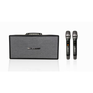 Loa di động MK 216D