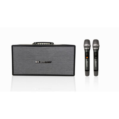 Loa di động MK 216D