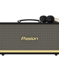 Loa Karaoke di động Paramax Pasion 2